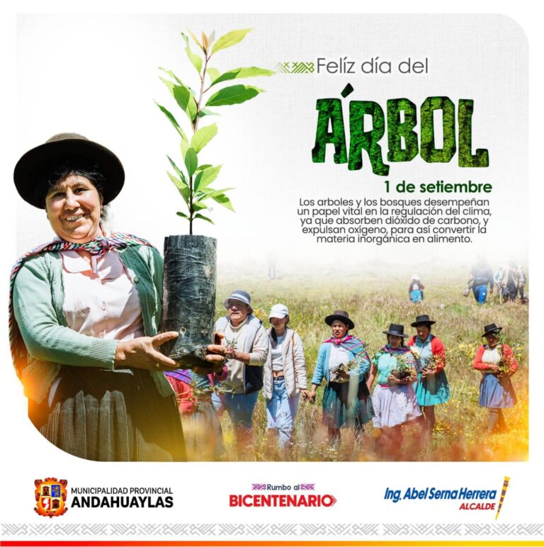 373599713_697753012387886_2778754299727388502_n-1529x1536