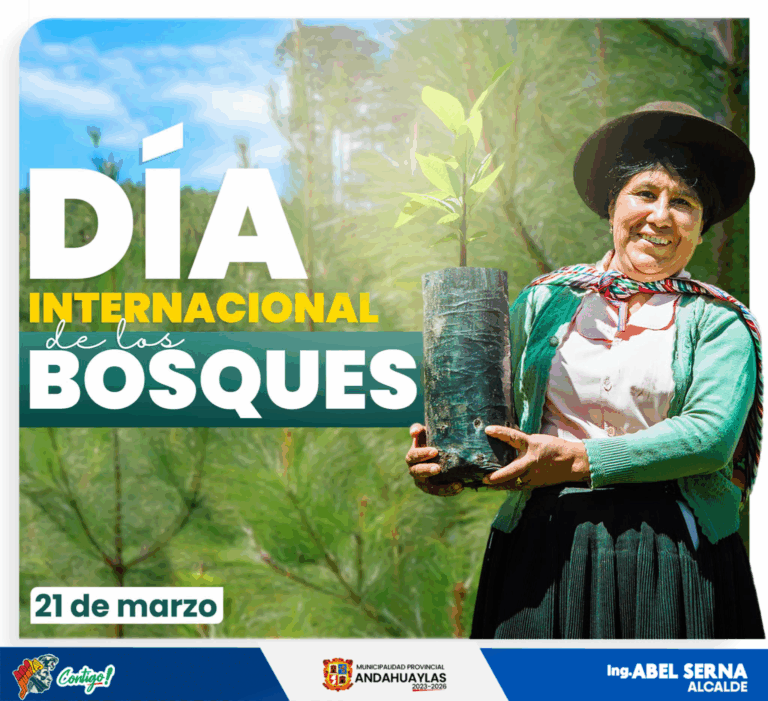 fondo_ambiente-1-1536x1401